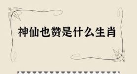 今期生肖二三头是什么生肖呢,今期生肖二三来指什么生肖或动物