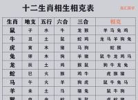 哪些生肖相冲相克相害相刑,什么生肖相生,什么生肖相克