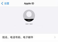 telegeram国内能连接吗,telegeram灰色版本x和正版区别