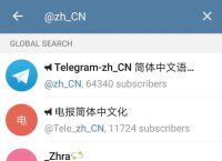 telegeramx版本下载,telegeramxx版官网入口