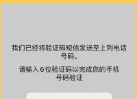 谷歌验证身份收不到通知,谷歌身份验证器收不到验证码