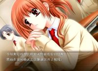 galgame直接下载,galgame一般在哪下载