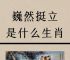 今期生肖一一开是什么数字?,今期开什么生肖动物视频2o19