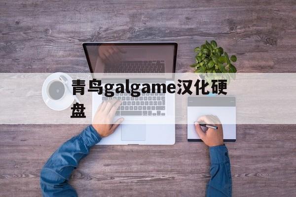 包含青鸟galgame汉化硬盘的词条