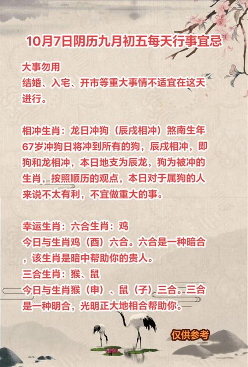 今期什么生肖冲什么生肖