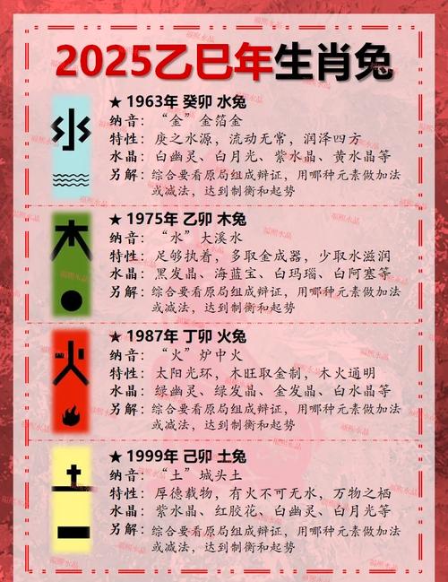 今期人人都养兔打一个正确生肖