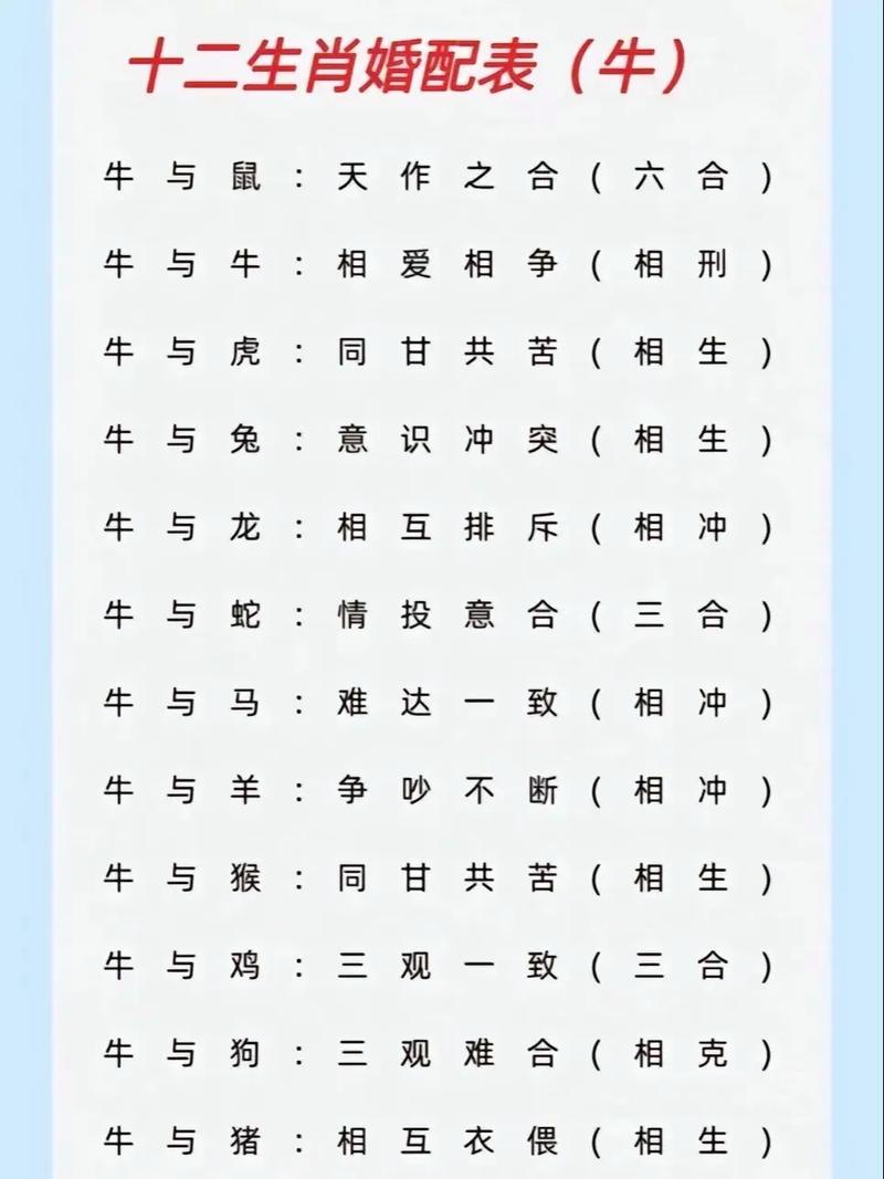 生肖配对