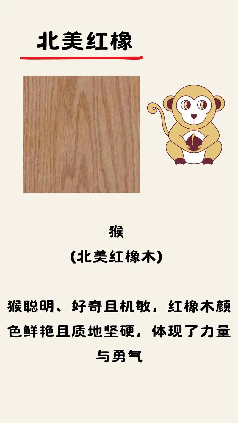今期生肖木头左右好是什么生肖
