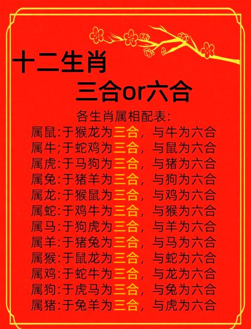 今期生肖三三开是什么意思