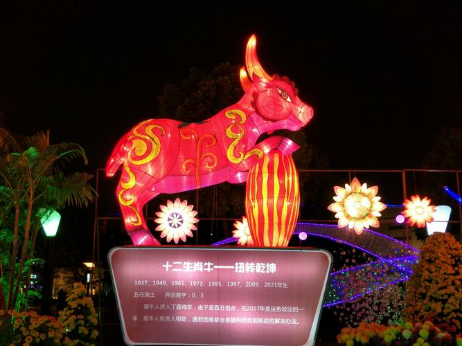 今年什么生肖开银花