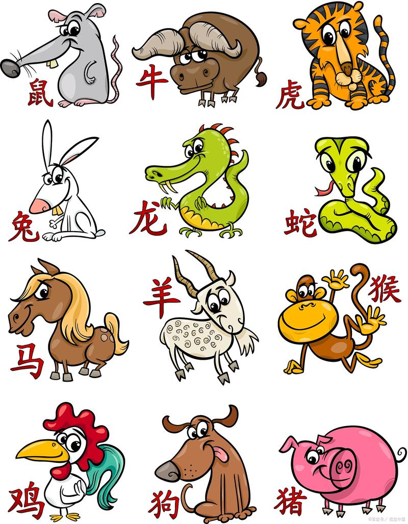 羊丑属相合不合
