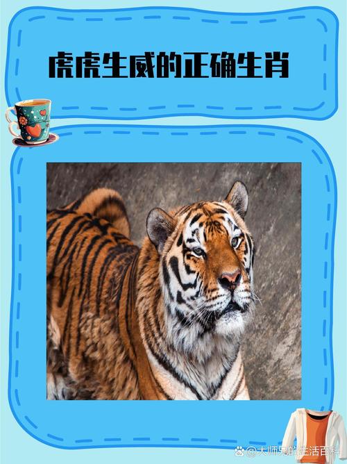 虎虎生威开过最准确的生肖