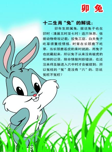 什么生肖冲兔子