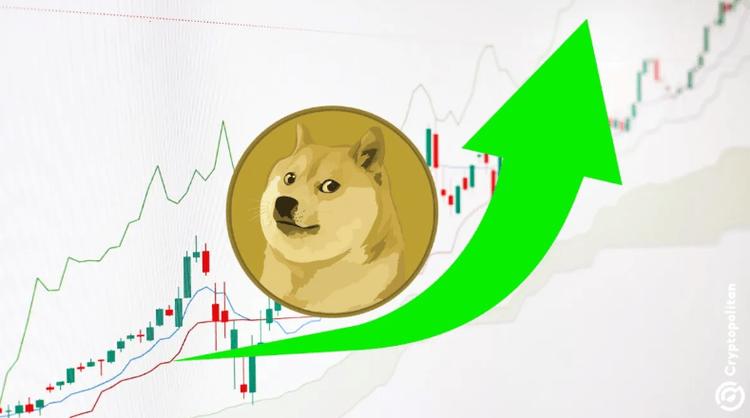 深度解析狗狗币行情走势图高清：掌握投资技巧与策略