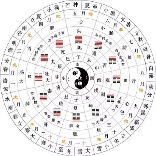 十二生肖二十四,十二生肖二十四节气三十六天罡