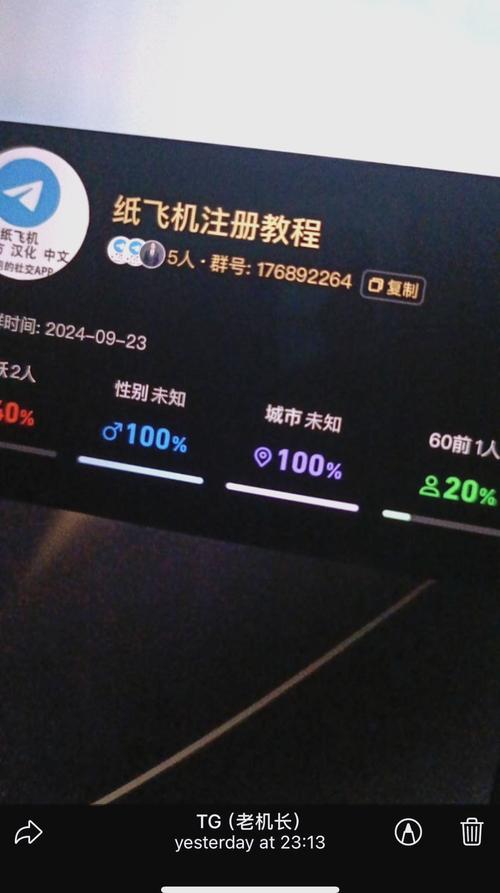 纸飞机怎么设置成中文模式,苹果telegreat怎么转中文