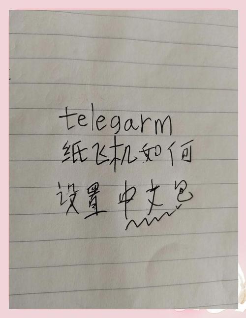 纸飞机中文语言包怎么启用的的简单介绍