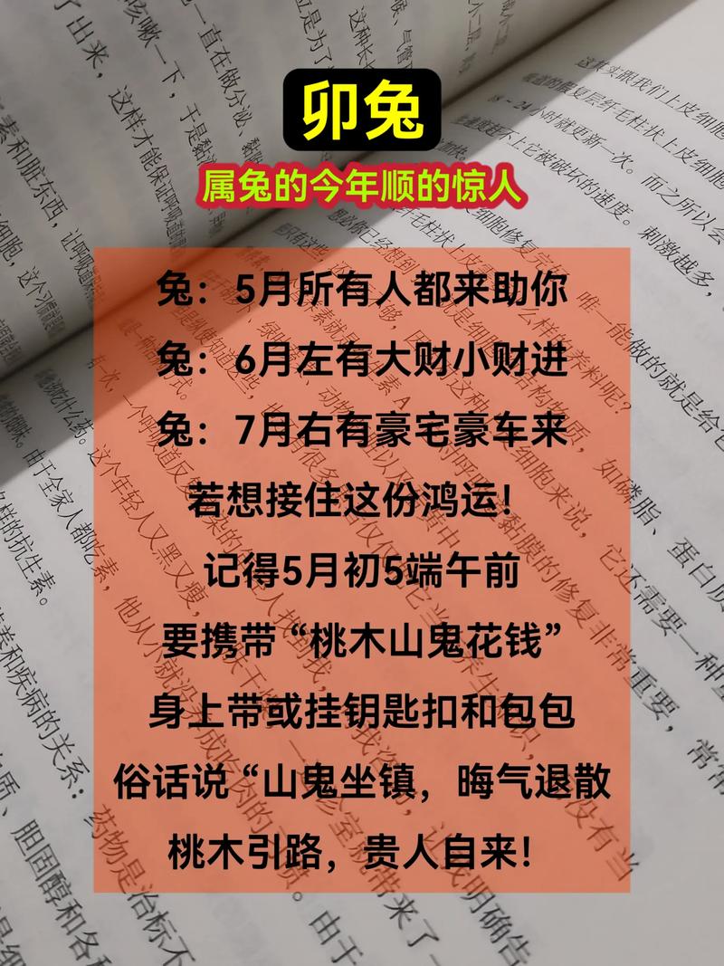 今期人人都养兔猜生肖,今期生肖人人爱是什么动物