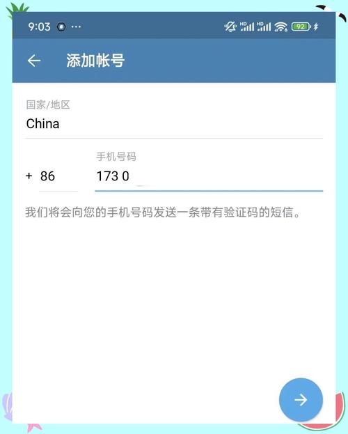 纸飞机怎么购买中文包,纸飞机怎么弄中文要输入什么