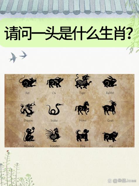 今期生肖七七开,生肖七七是指什么动物