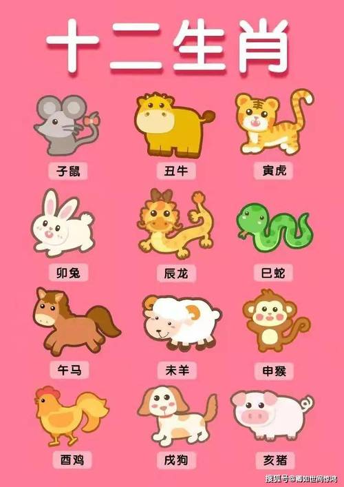 马马虎虎打一生肖正确答案,马马虎虎是什么生肖打数字