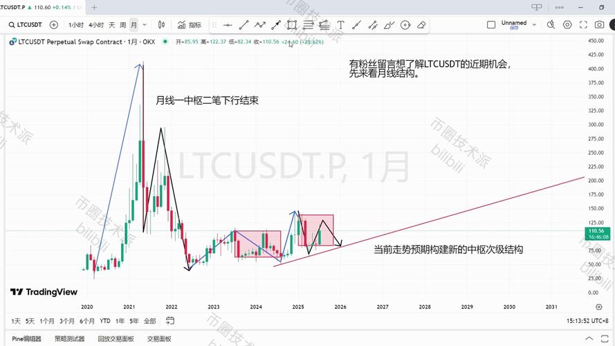 莱特币2025,莱特币2025会涨到多少