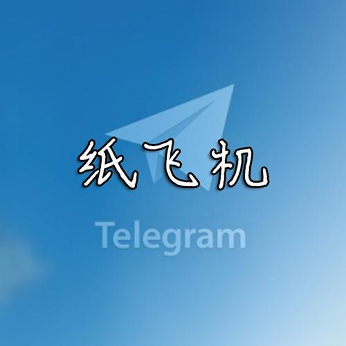纸飞机的中文包在哪里搞,纸飞机中文版怎么设置汉化