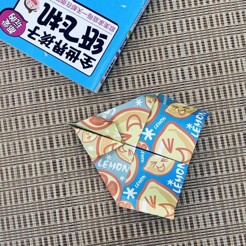 怎么登录纸飞机账号,纸飞机app怎么登录