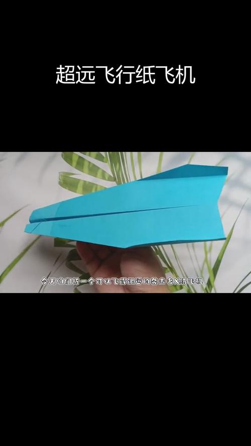 纸飞机缓存的视频在哪里找,纸飞机缓存的视频在哪里找到