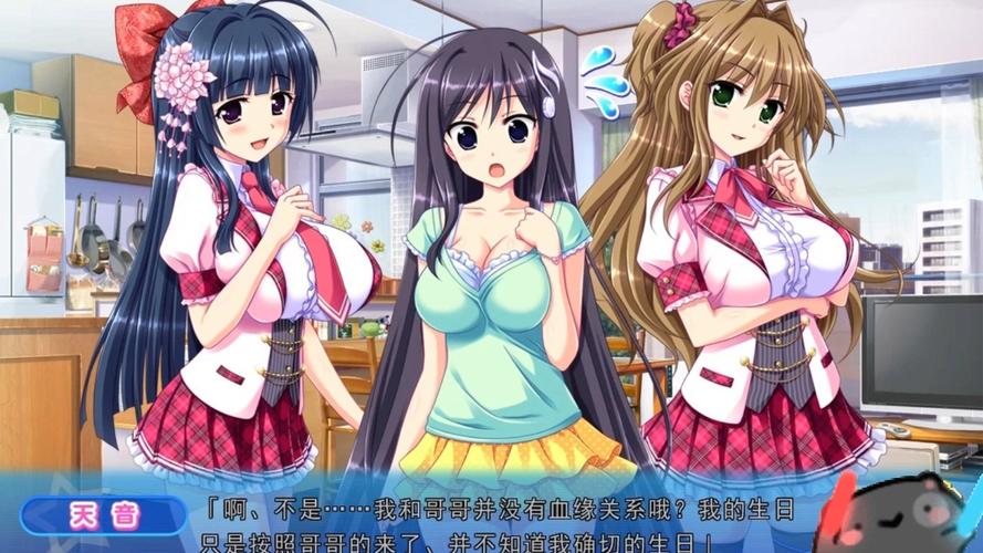 galgame游戏汉化补丁,galgame汉化补丁打开没反应
