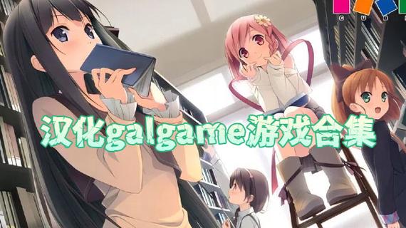 gal如何安装汉化补丁,galgame怎么安装汉化补丁