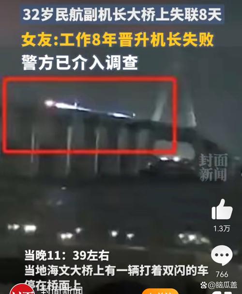 女飞行员失联,女飞行员失联事件
