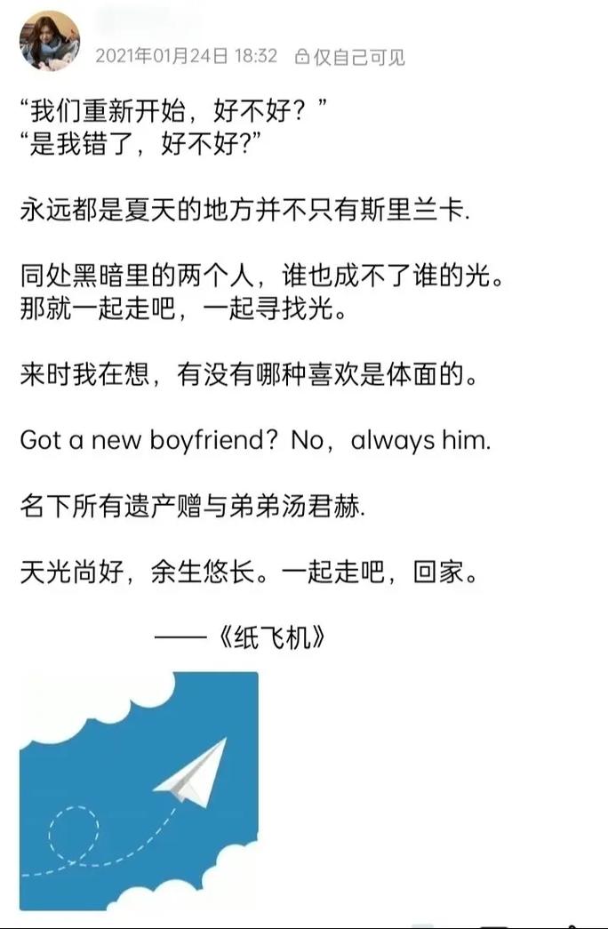 纸飞机怎么翻译成中文,纸飞机怎么把英语转为中文