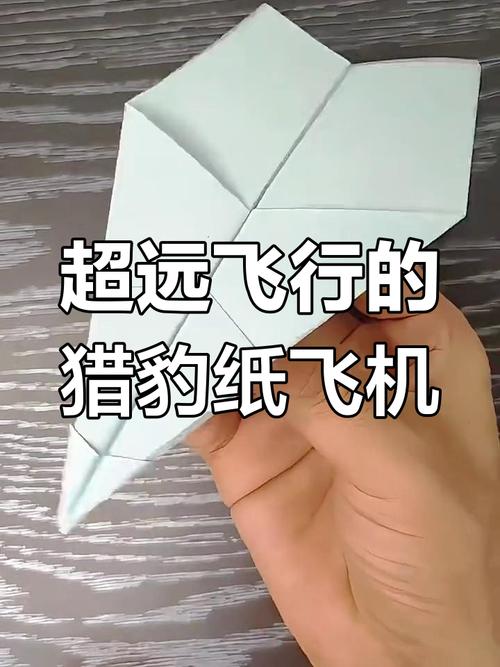 纸飞机王第一名猎豹纸飞机的简单介绍