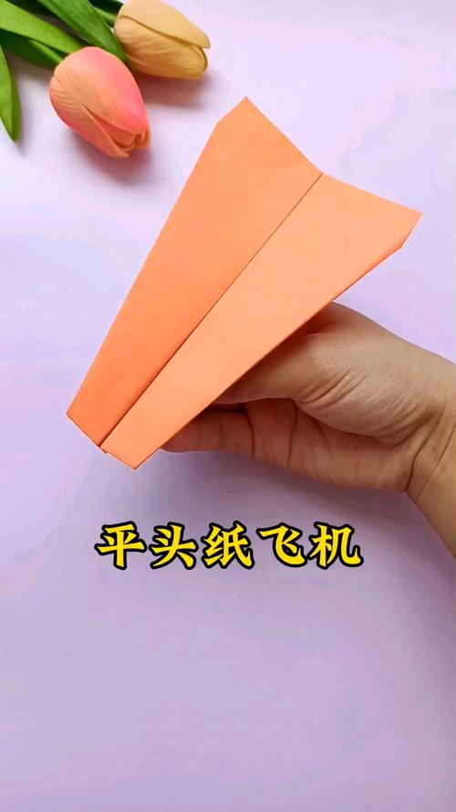 飞得又快又远的纸飞机,世界上飞得最远的纸飞机第一名
