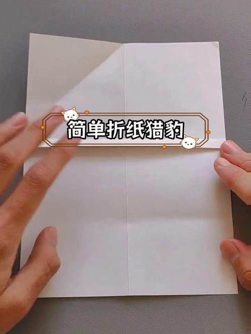 猎豹纸飞机怎么折,猎豹纸飞机怎么折飞得很远