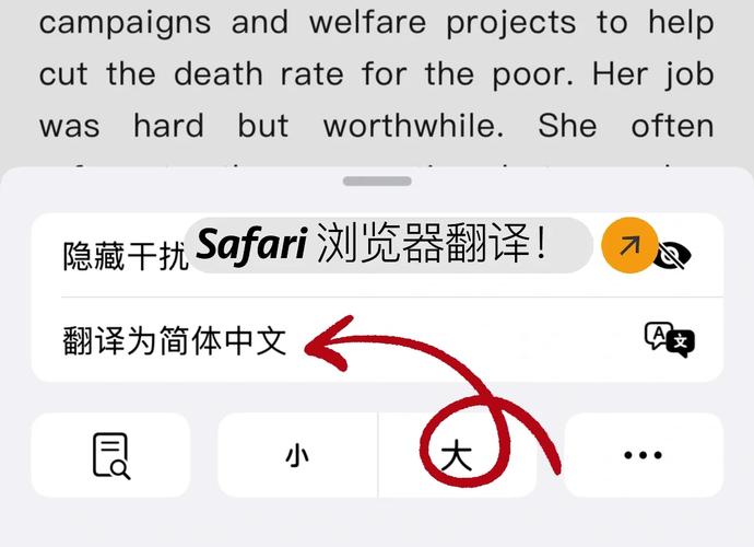 飞机app切换中文版,飞机软件怎么翻译成中文