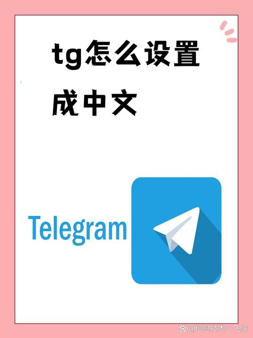 tg中文网,tg中文语言包