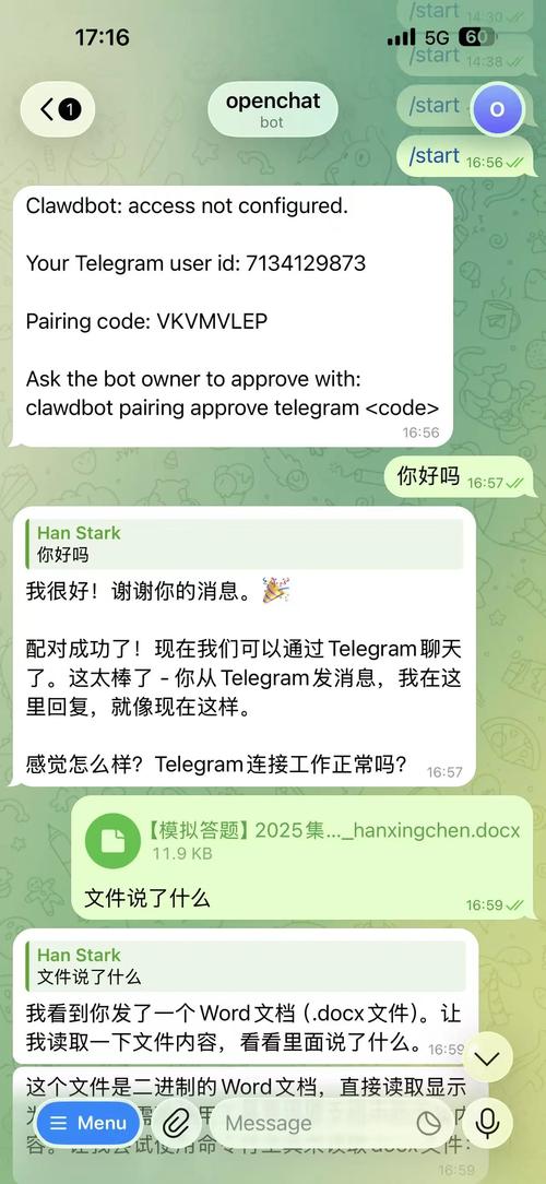 tele汉化,tele汉化教程