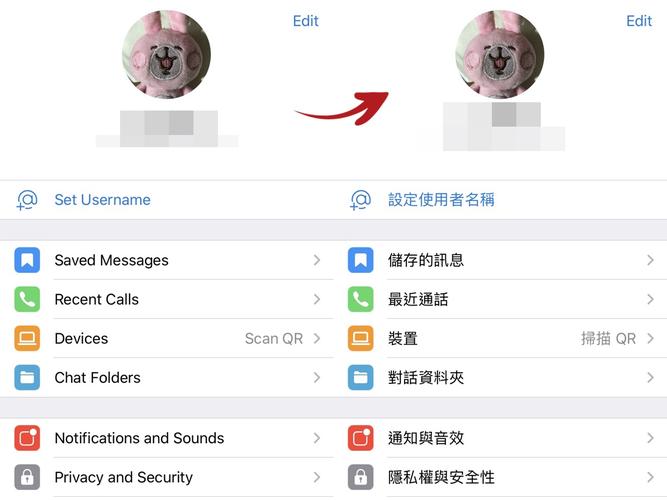 telegreat官方入口下载,telegreat代理加速器官网入口