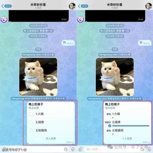 tg电报苹果,telegram苹果手机版