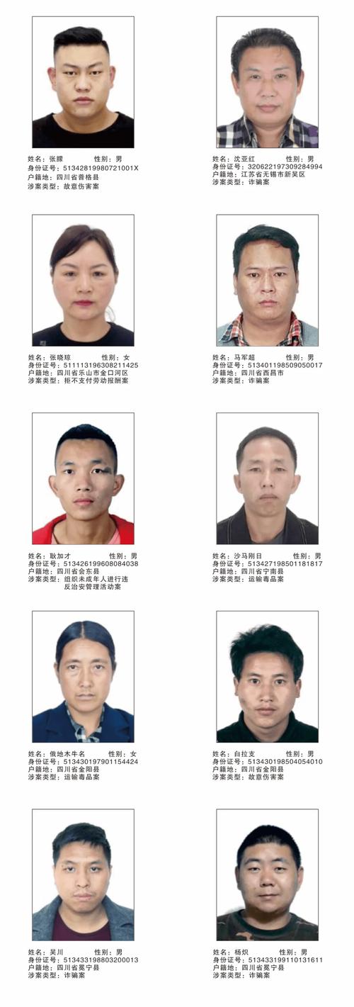 娄底诈骗案通缉犯照片,湖南娄底网上通缉犯名单
