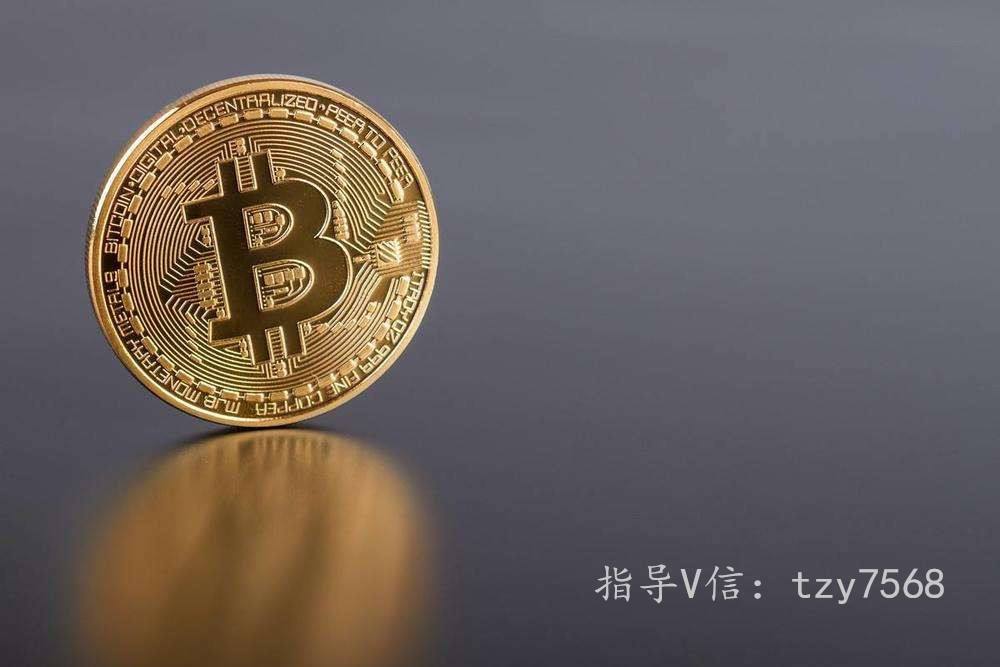 [btc系列]BTC系列直通型插头