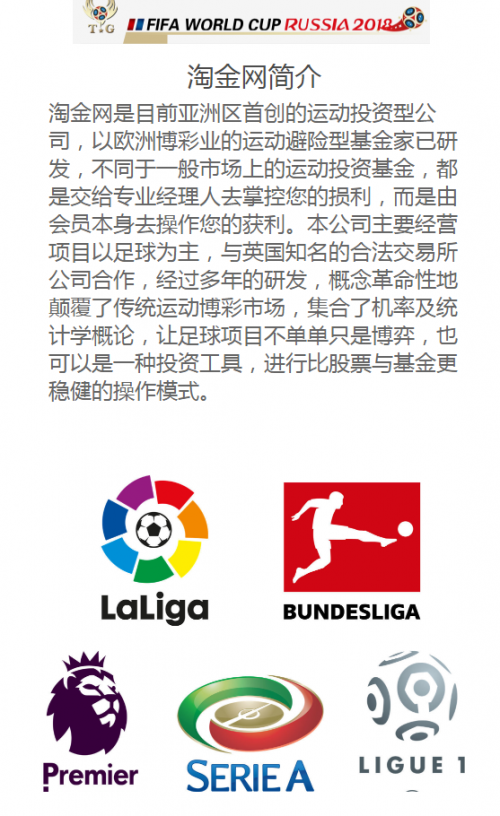 关于TG投资公司的信息