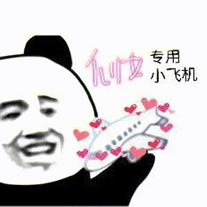飞机中文语言包链接-飞机怎么用中文语言包