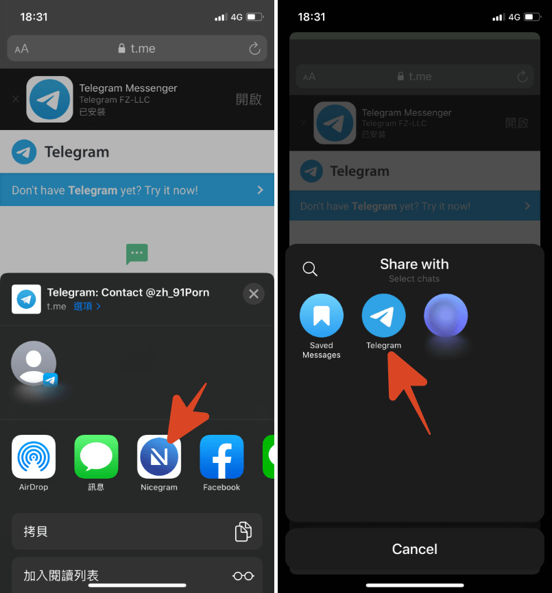 [telegaram中文版ios]telegraph官网入口ios