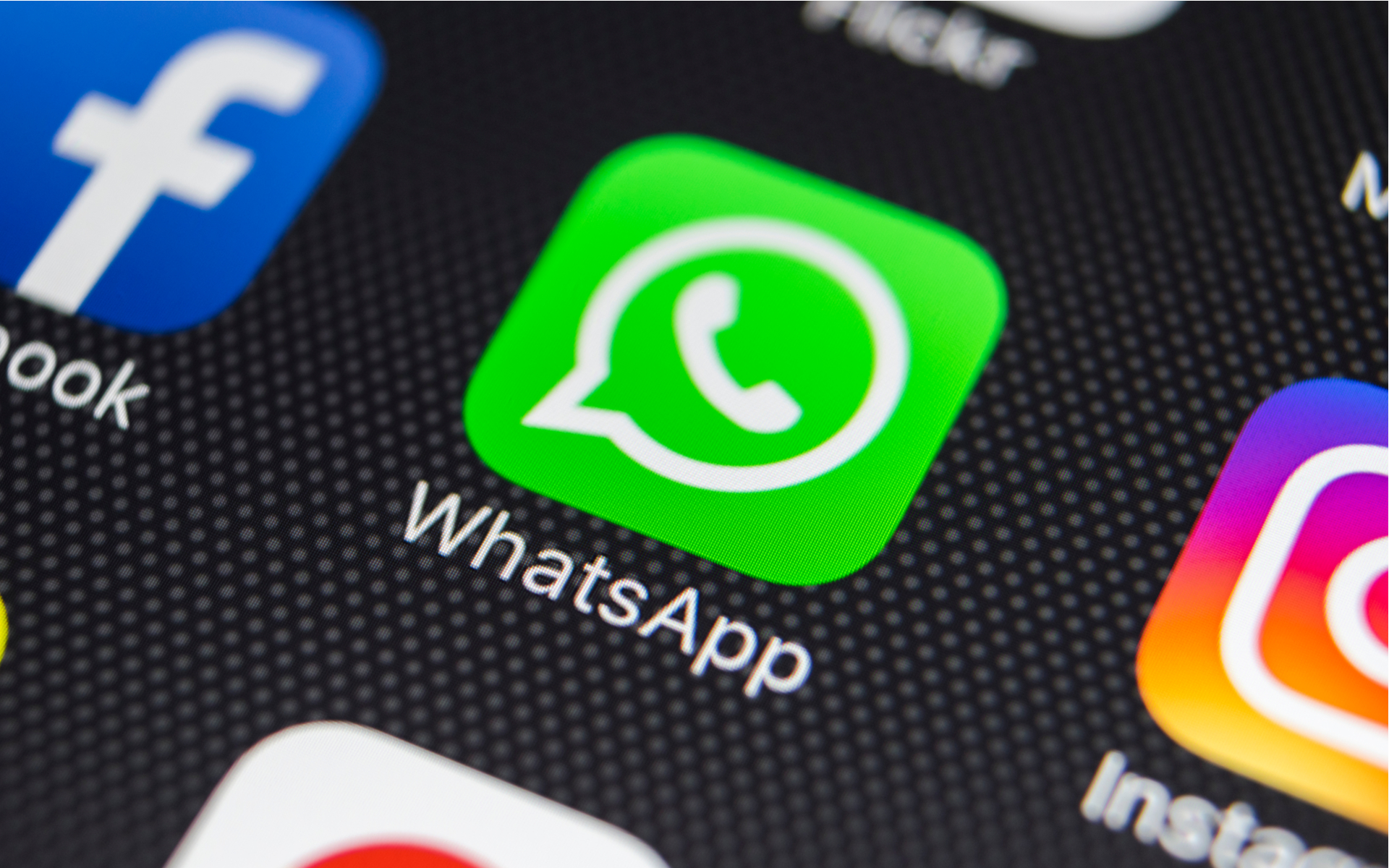 whatsapp网页-whatsapp网页版怎么加好友