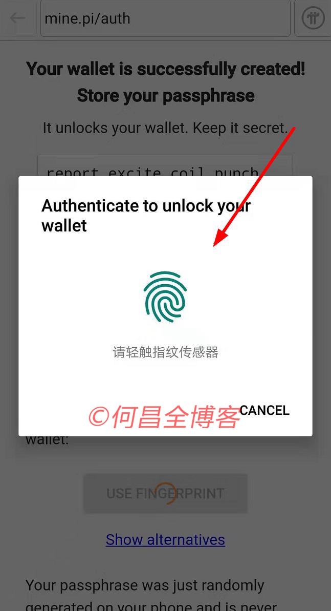 pi钱包官方下载,pi钱包app下载 pi钱包官方下载,pi钱包app下载