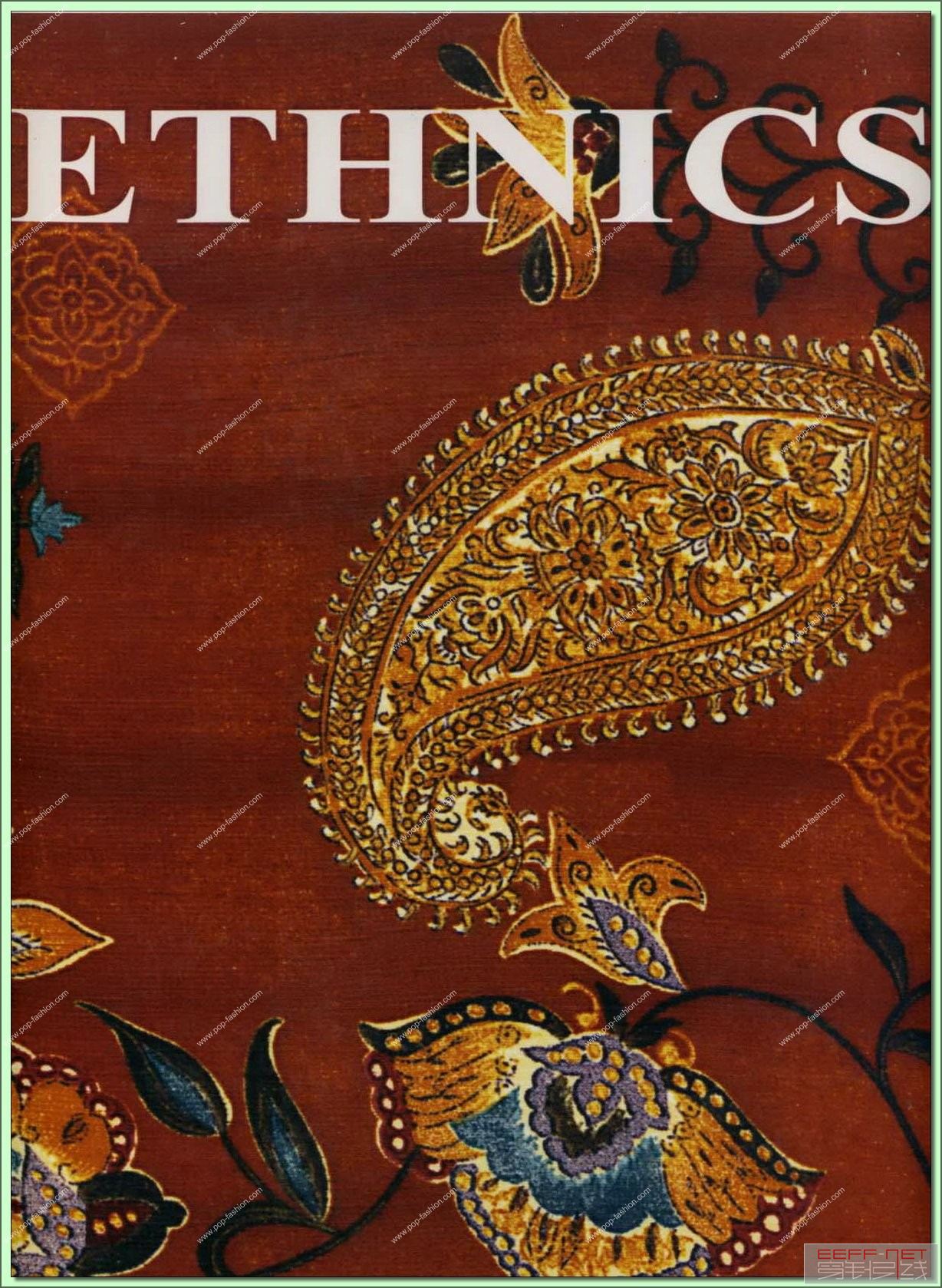 ethnics,ethnics 翻译
