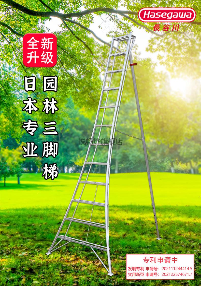 长梯子的图片,长梯子的图片漫画版烧了